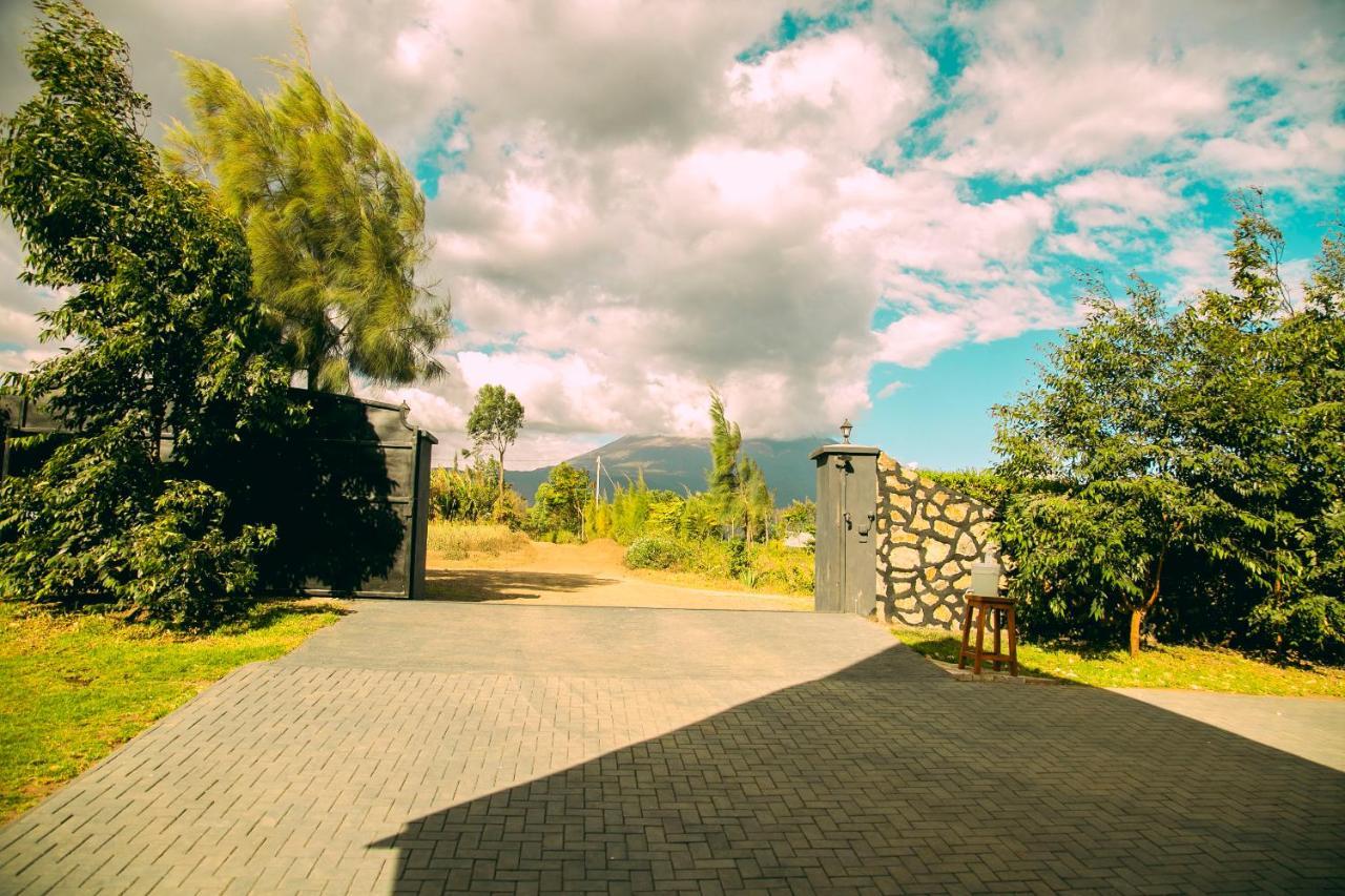 Shamba Lodge Cabin B Arusha Buitenkant foto