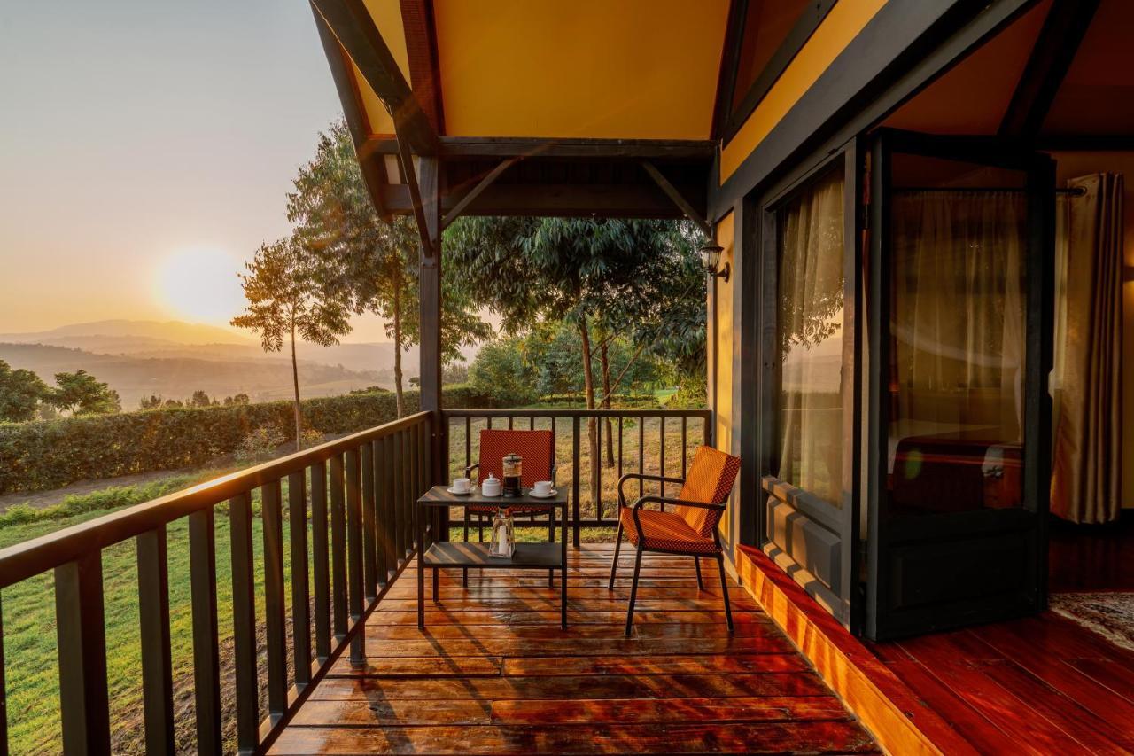 Shamba Lodge Cabin B Arusha Buitenkant foto